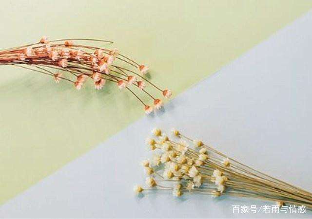 前妻的爱情课