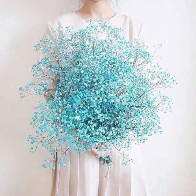 星河入梦，落花成雪