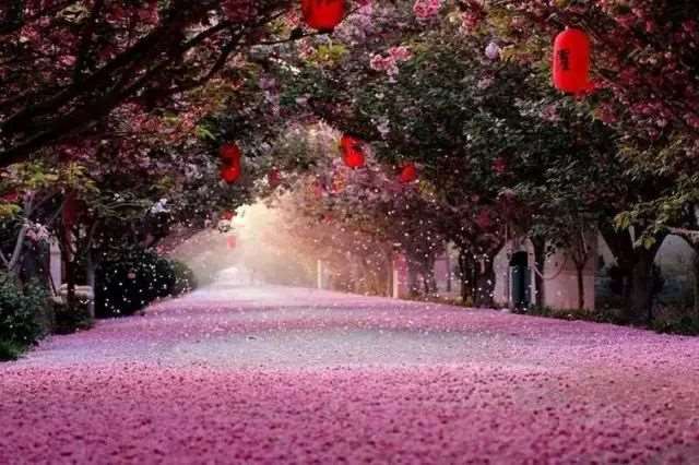 他说 遇见你好幸运