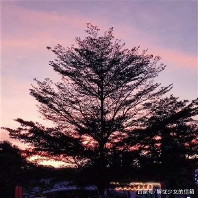 诗意的梦想