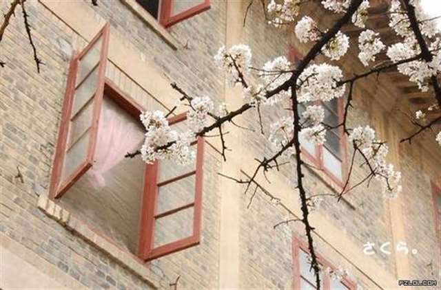 家具销售技巧