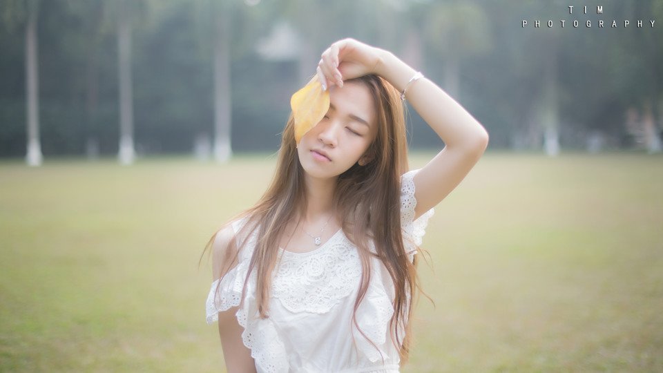 我心中的飞鸟