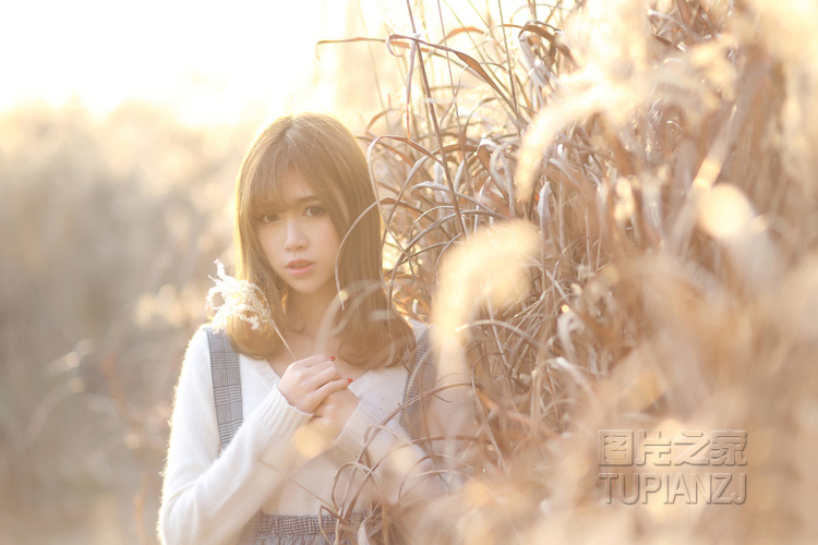 婚姻在自己  幸福婚姻在于自己