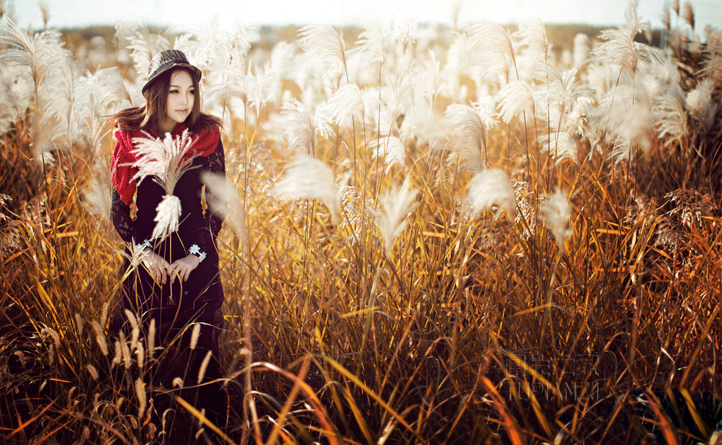 美丽的女人似乎都有坎坷的爱情
