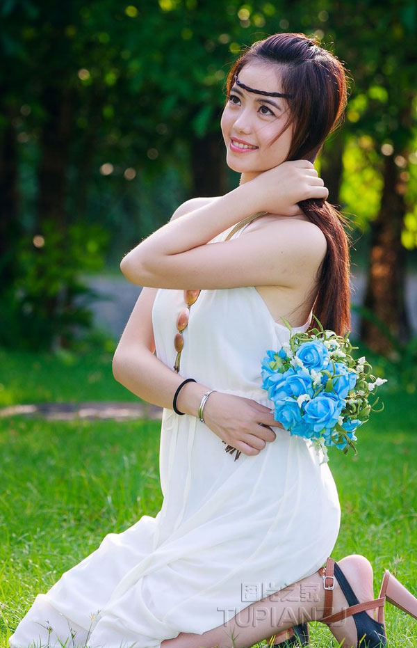 宝莲灯