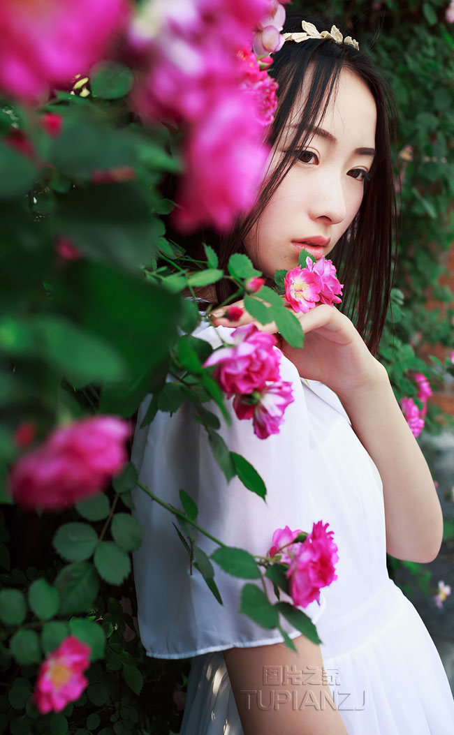 为爱孔雀开屏