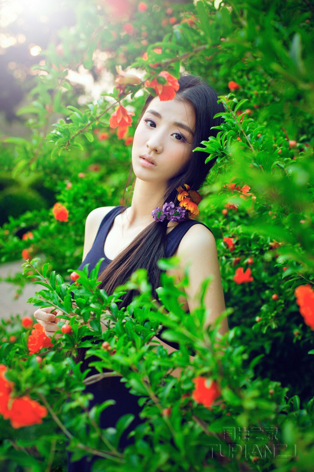 父亲的菜园