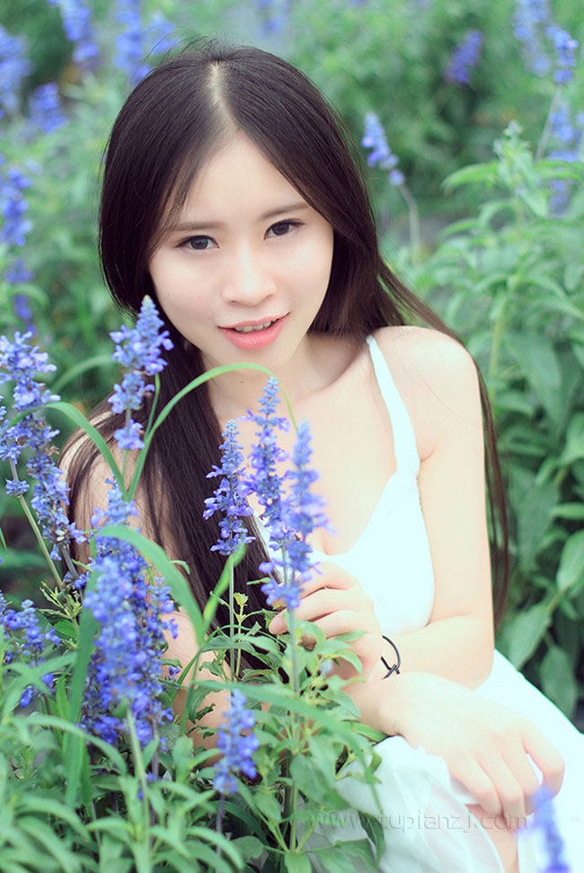 男人对女人胸部审美的变化