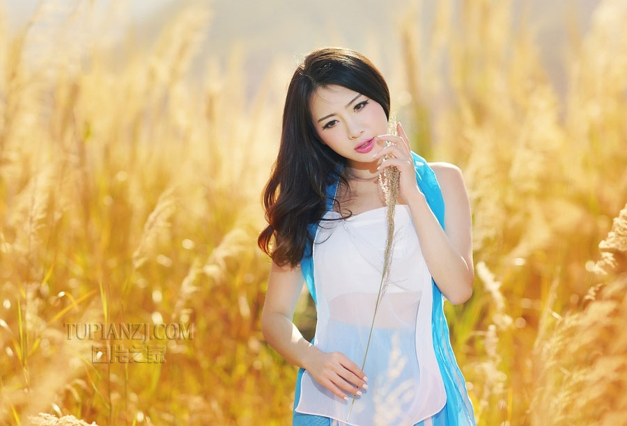 女上司与男下属风花雪月的故事