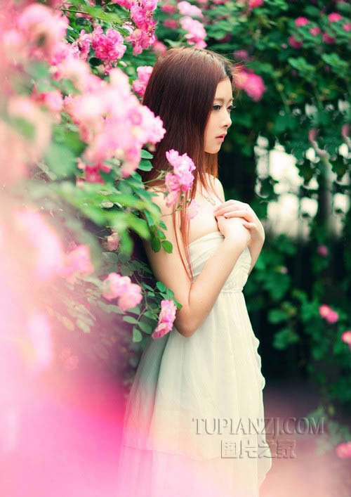 刘涛富豪老公家世解密