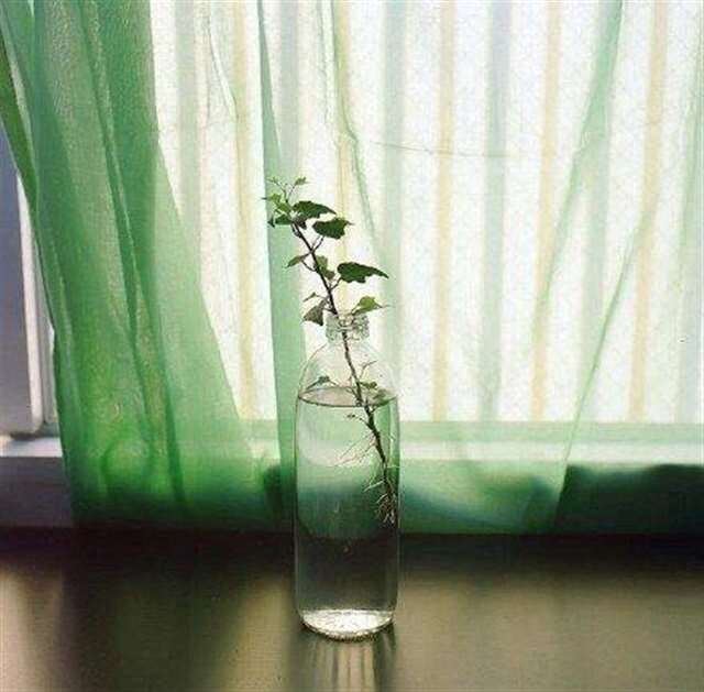 爱情里的正确选择