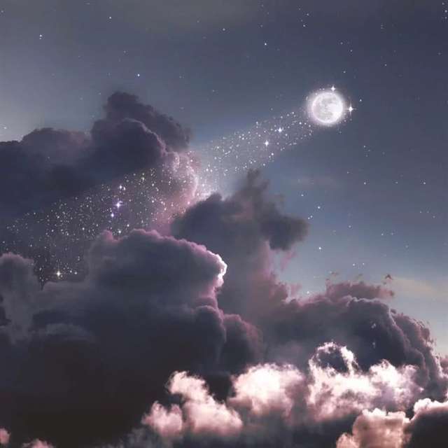 残花.败柳