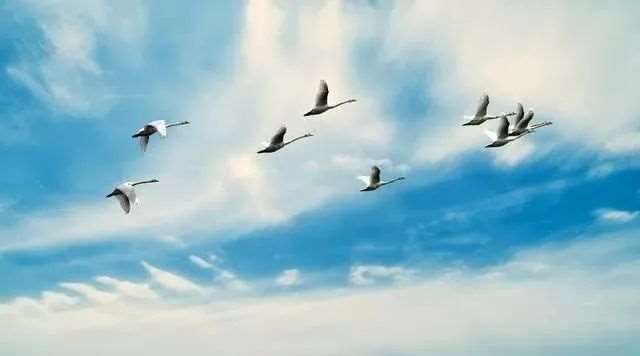 那一夜我们生死相依