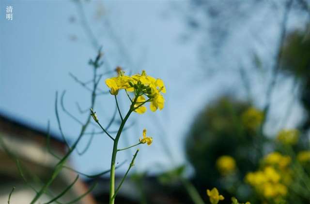 半夜不要在网上和陌生人聊天