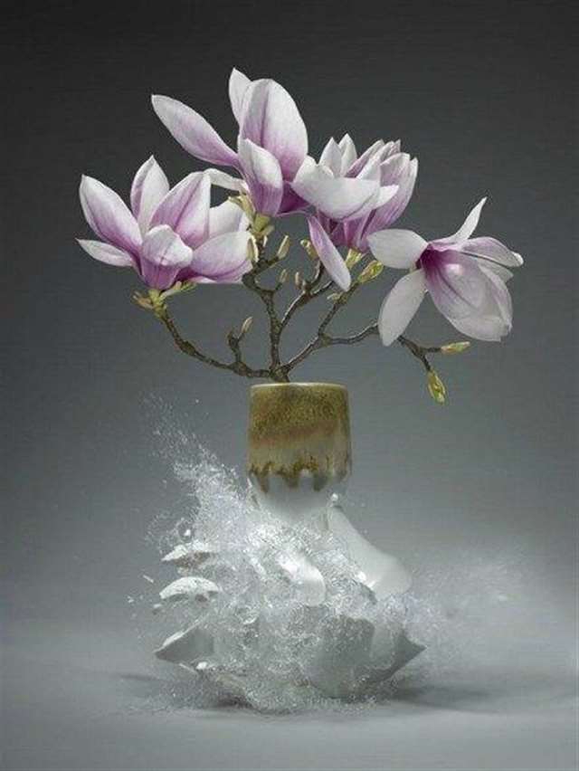 什么爱是永恒的