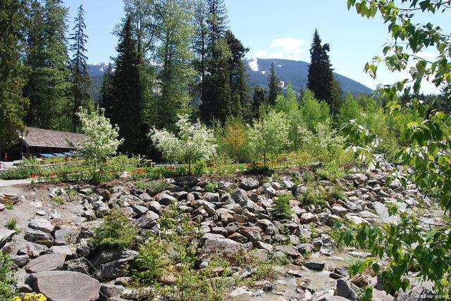 大爱之心做事，感恩之心做人。