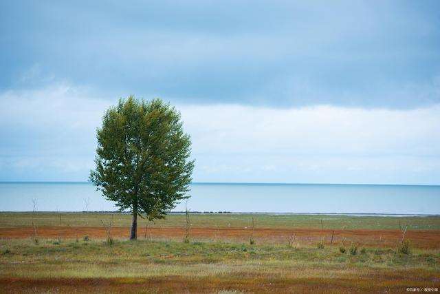 覆了天下也罢只不过一场繁华的散文