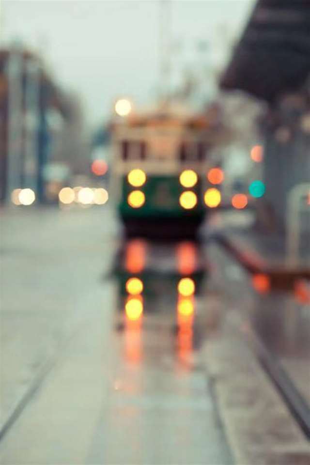 一种爱无法翻越