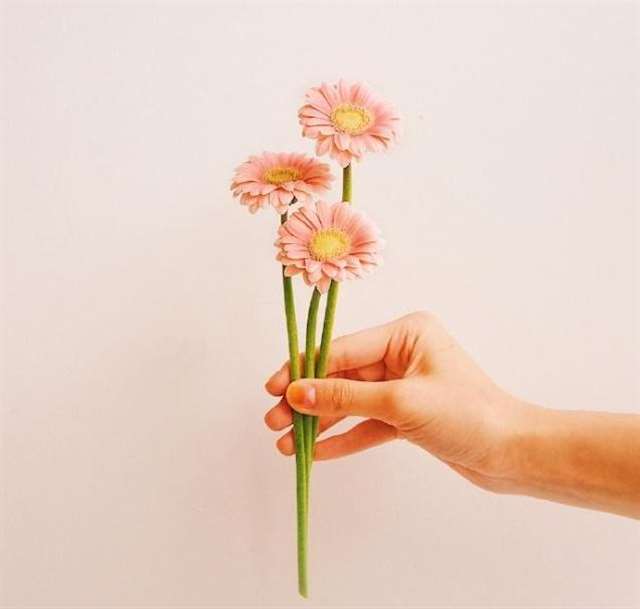 找一个安静的角落，去抚平自己心中的伤痛。