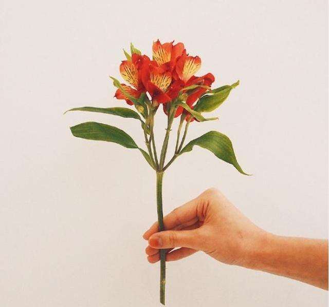 一句暧昧的话句子|暧昧语录