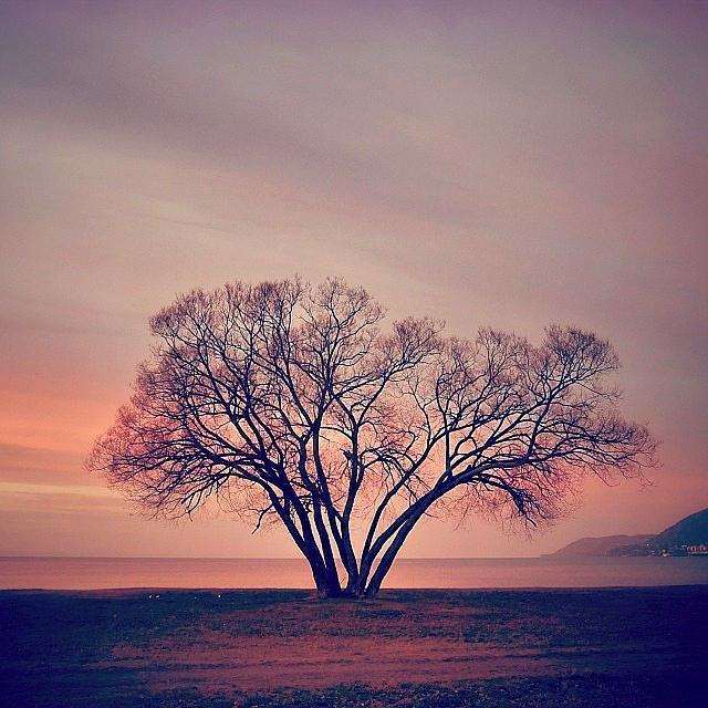 《花海如潮赋晚春》