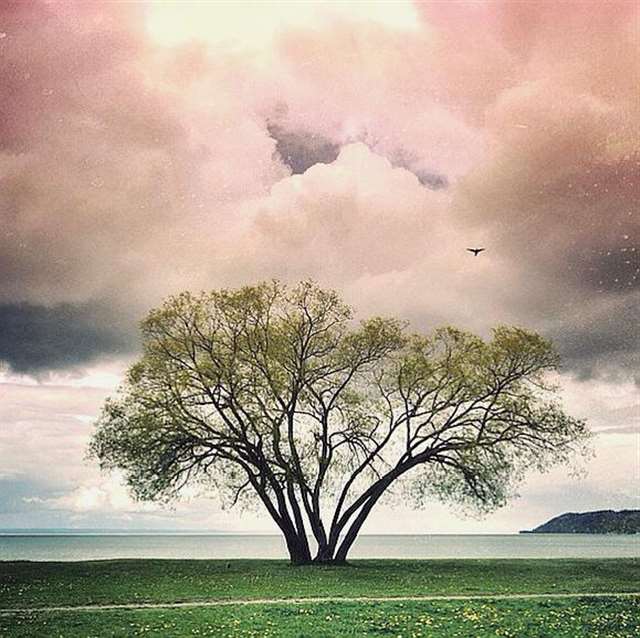 早安打工人的一句话|早安短句