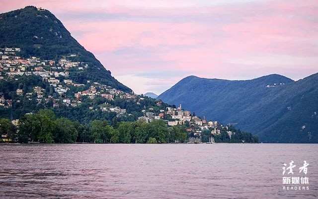 幽默的动物最雷人