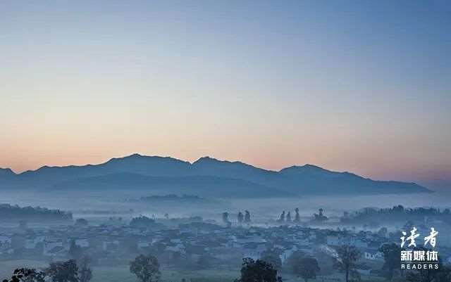 习惯了,容下了多少失望和心酸。