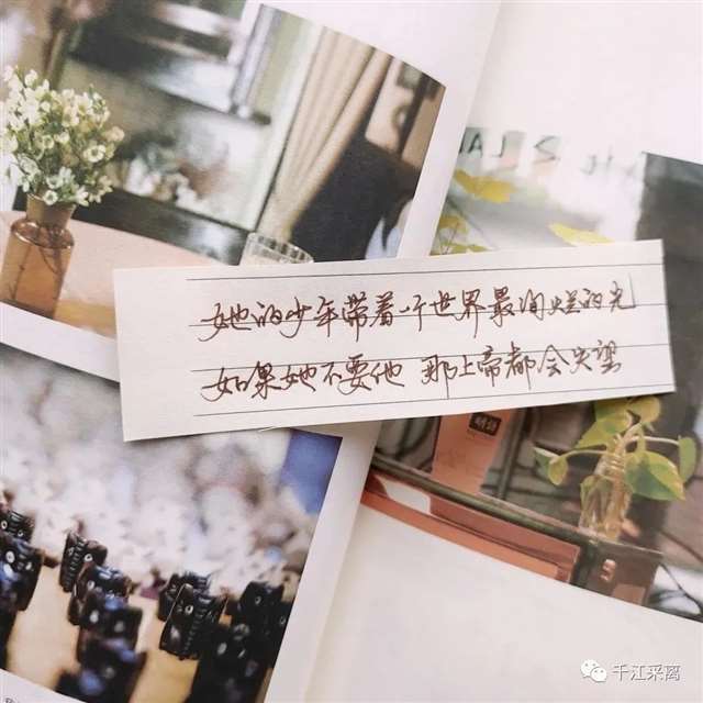 别墅猫灵