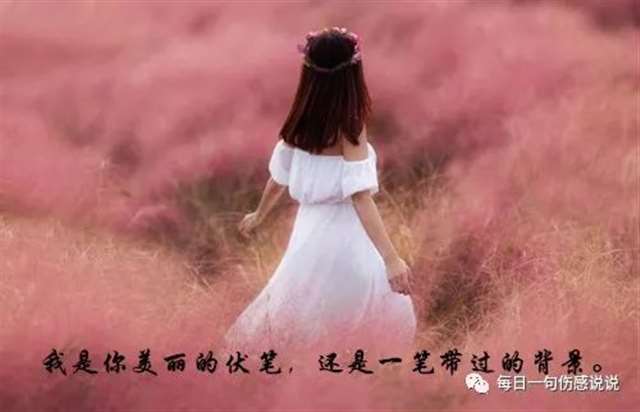绵长时光，谱一曲锦瑟芙蓉年