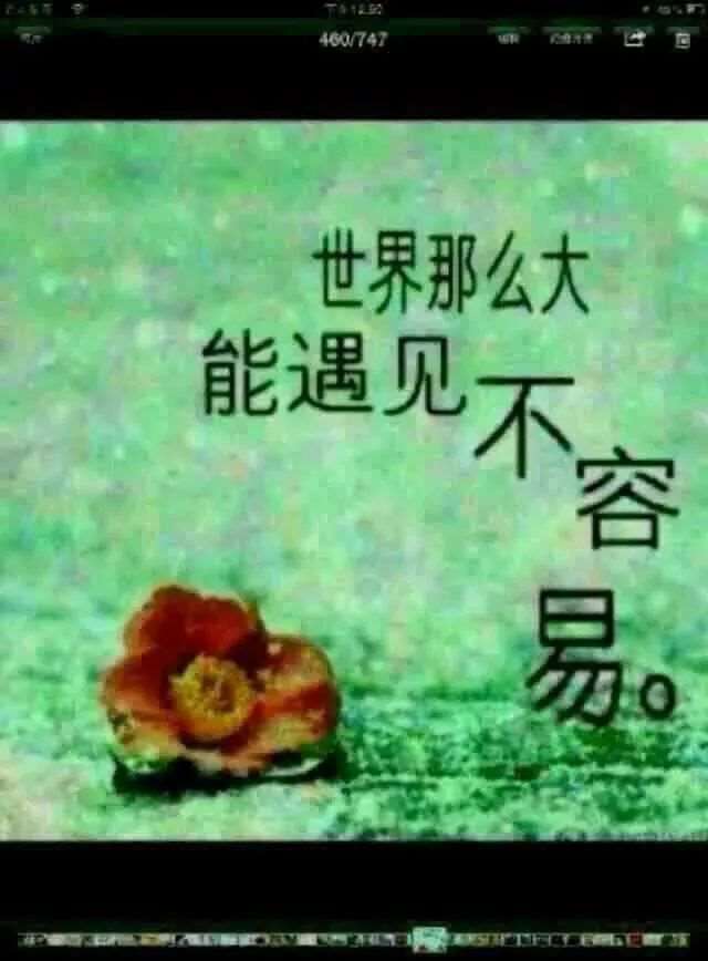 帅哥老爸,向前冲