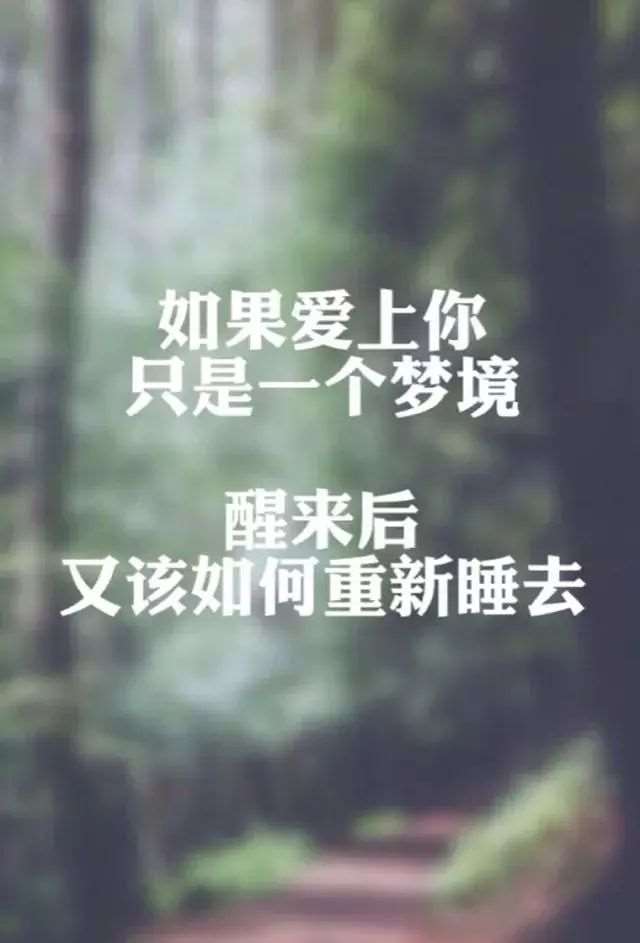 把你关进衣柜里