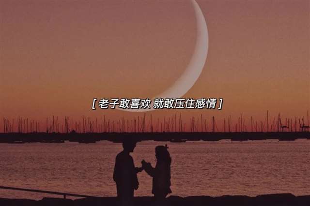 陪他一起看鸿雁
