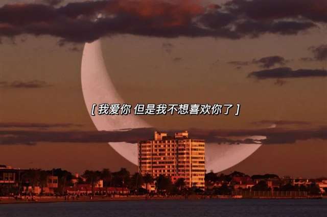 一生相随
