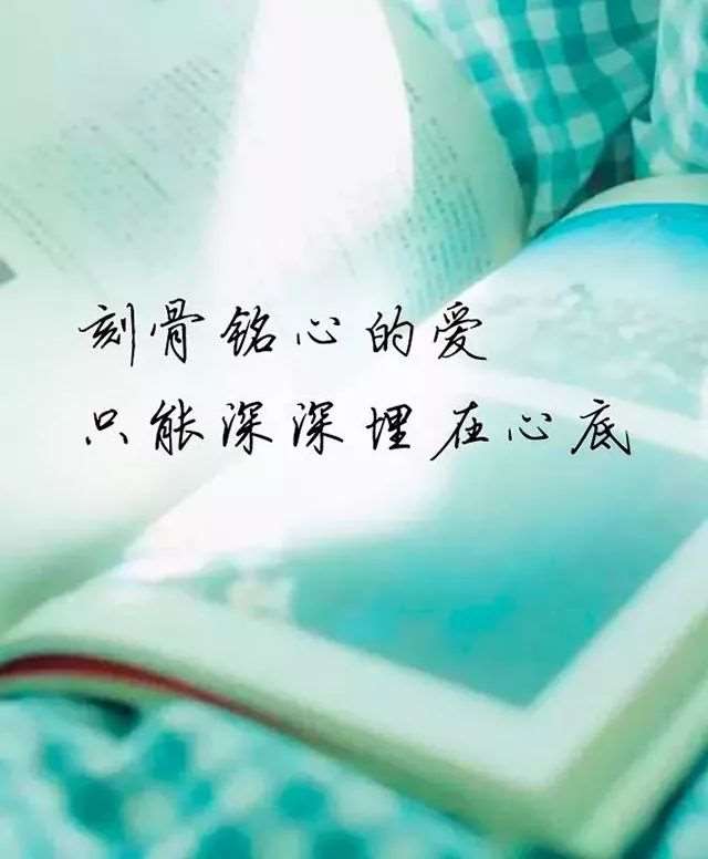 包子铺之恋