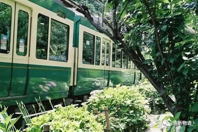 面对困难不屈服的励志名言警句