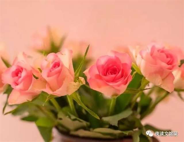 谢谢你,还有,再见了