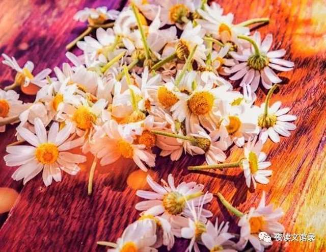 福楼拜的名言名句，福楼拜的简介资料