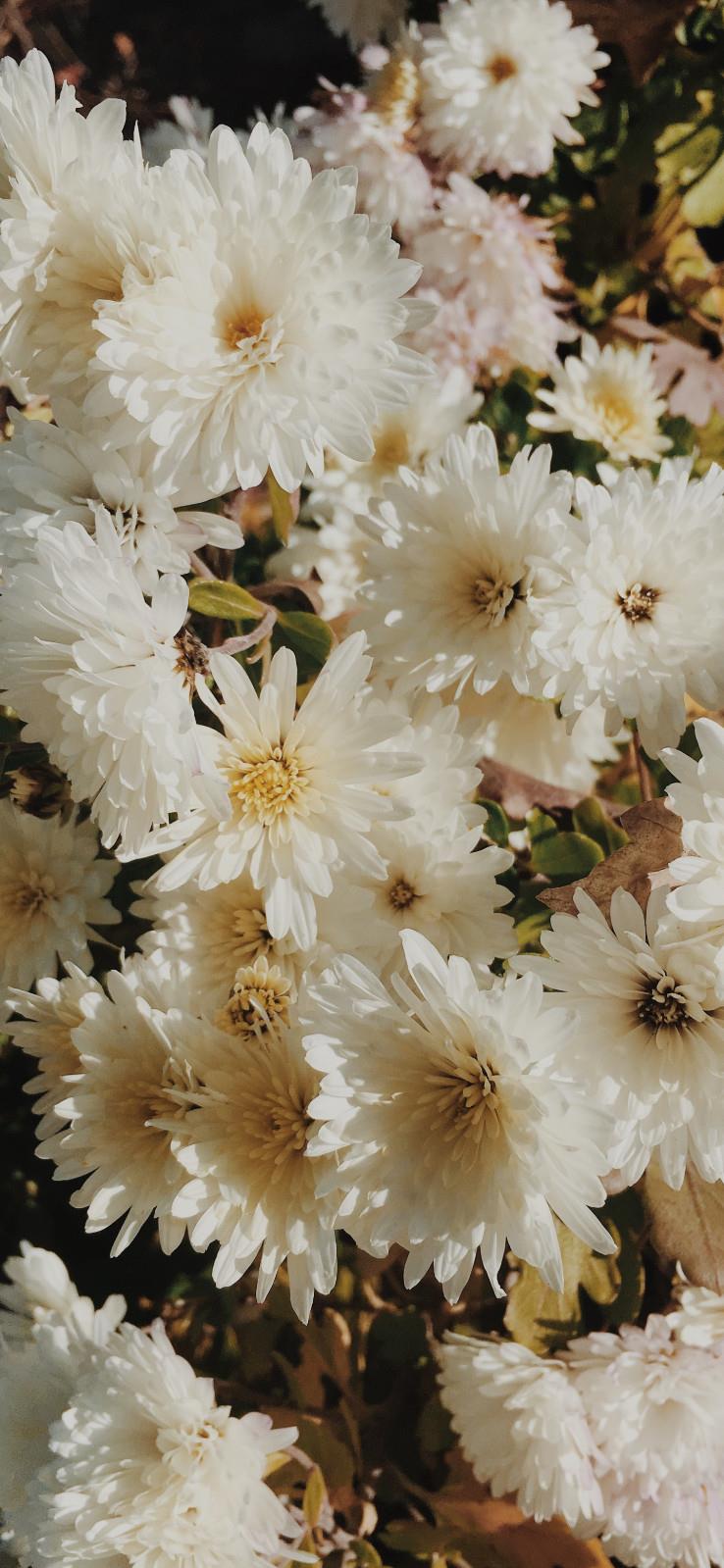 如何谈好办公室恋情 职场高手教你如何恋爱