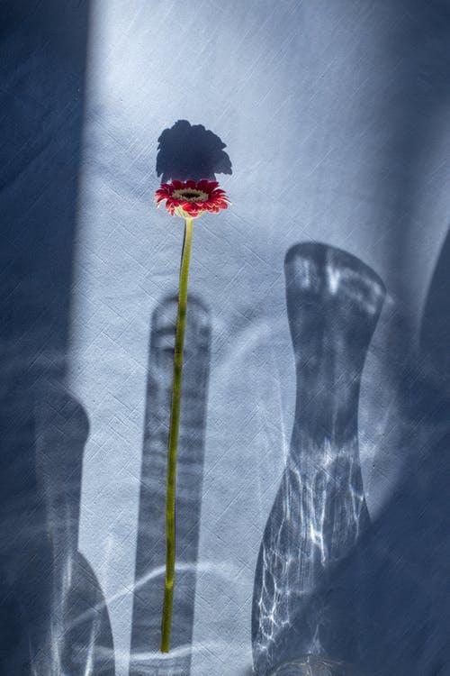 鸡毛蒜皮里的幸福要义