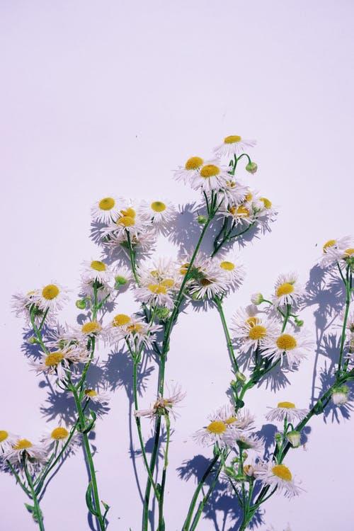 秋天景物描写美文摘抄