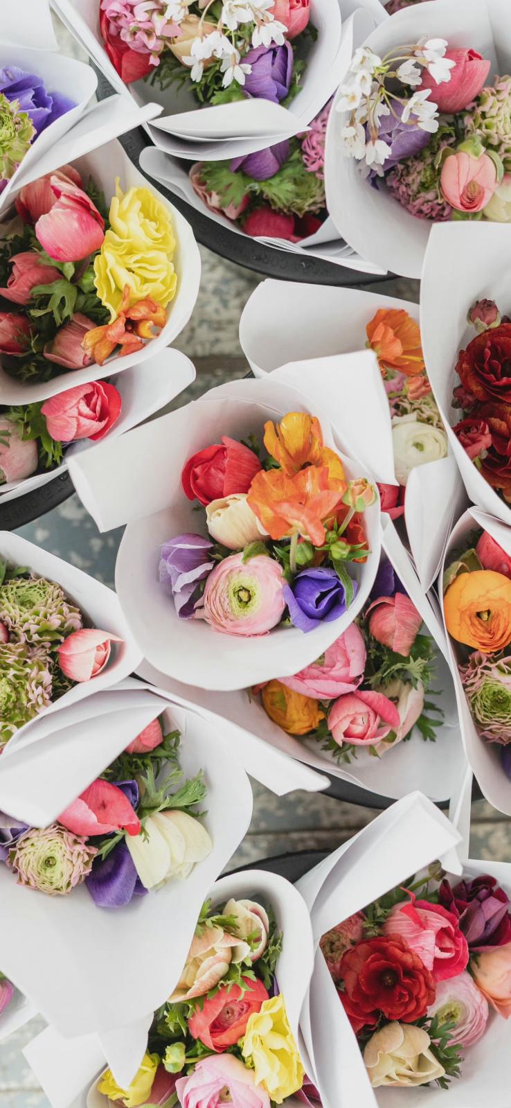 我偷看漂亮的老婆日记，快笑破肚子了！