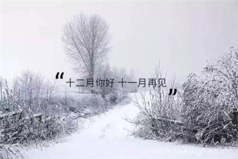 打架的结果