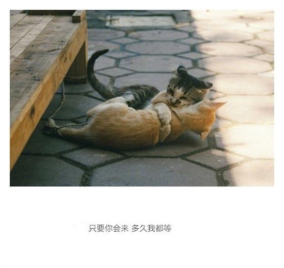 相聚永远是短暂