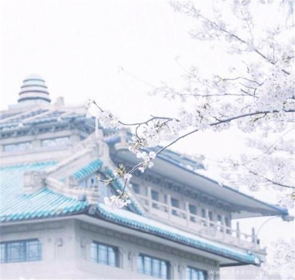 朱老师的养生之道