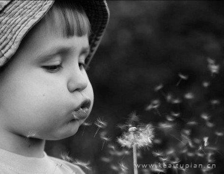 搞笑句子能笑死人的越短越好_搞笑短句