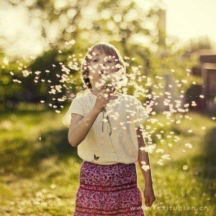 关于写马的精选诗句,马短句