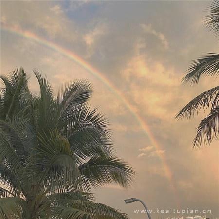林子大了什么鸟都有