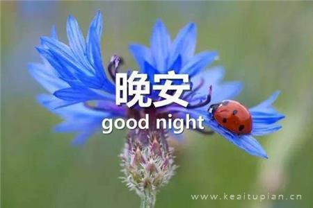 眼泪灼沙，湿了芳华