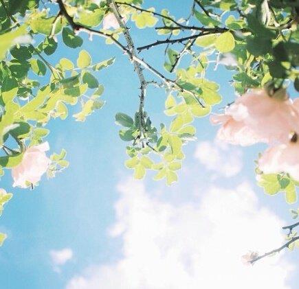 关于父爱的句子100句,父爱短句